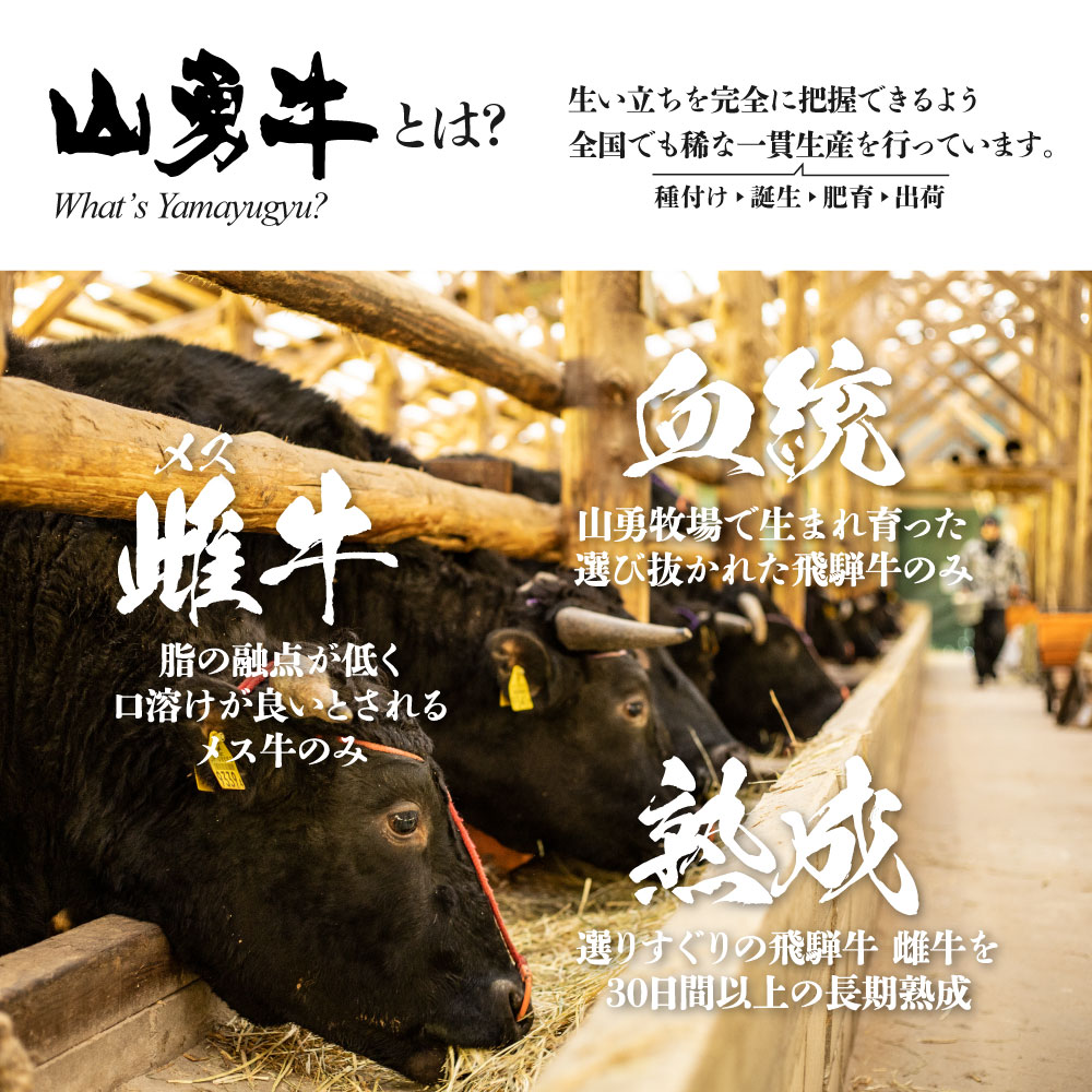 熟成めす飛騨牛【山勇牛】 2種食べ比べすき焼きしゃぶしゃぶ 200g
