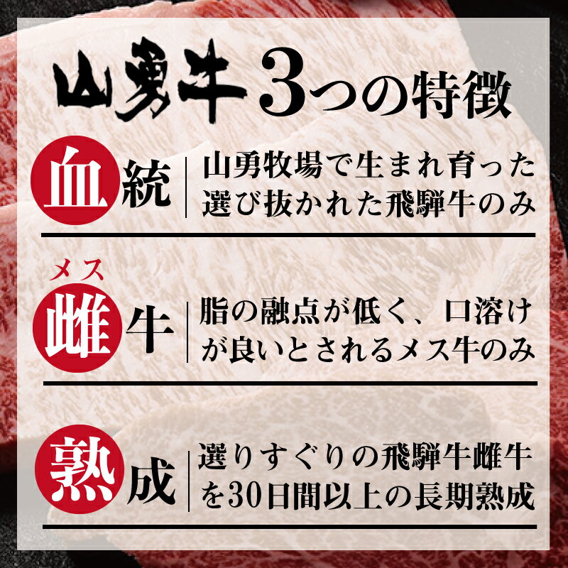 熟成飛騨牛 山勇牛 切り落とし 300g スライス 飛騨牛 すき焼き しゃぶしゃぶ 切り落とし 切落し A4/A5 和牛 メス牛 雌牛 牛肉 冷蔵 熟成肉 御中元 熨斗 外のしギフト お誕生日 還暦 贈答用 ブランド牛 山勇畜産 肉ギフト 稀少部位 [R] 3