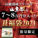 熟成飛騨牛 山勇牛 2021年 福袋 7〜8万円分入り お得な 肉福袋 丑年 新春福袋 肉福袋 メガ盛り A4/A5 飛騨牛 赤身 牛肉 冷蔵 熟成肉 御歳暮 お歳暮 熨斗 外のし 冬ギフト ブランド牛 山勇畜産 肉ギフト 稀少部位 食べ比べ [R]