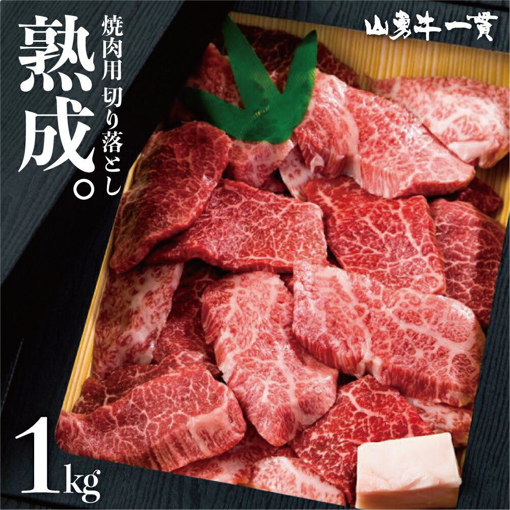 飛騨牛 【楽天スーパーSALE割引商品】熟成飛騨牛 切り落とし 焼肉用 1kg 山勇牛 切落し 送料無料 食べ比べ バーベキュー BBQ A4/A5 訳あり 不ぞろい 和牛 メス牛 雌牛 牛肉 冷蔵 熟成肉 ギフト お誕生日 還暦 贈答用 ブランド牛 肉ギフト 稀少部位 お歳暮 お年賀 御歳暮