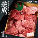 【真空冷凍発送】熟成飛騨牛 山勇牛 焼肉用 部位おまかせ 1kg 送料無料 食べ比べ バーベキュー BBQ A4/A5 訳あり 不ぞろい 和牛 メス牛 雌牛 牛肉 冷蔵 熟成肉 ギフト お誕生日 還暦 贈答用 ブランド牛 肉ギフト 稀少部位 お歳暮 お年賀 御歳暮 父の日