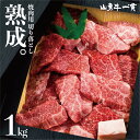 熟成飛騨牛 切り落とし 焼肉用 1kg 山勇牛 切落し 送料無料 食べ比べ バーベキュー BBQ A4/A5 訳あり 不ぞろい 和牛 メス牛 雌牛 牛肉 ..