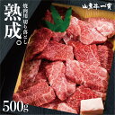 熟成飛騨牛 山勇牛 焼肉 切り落とし 500g 送料無料 熟成肉 切落し 食べ比べ バーベキュー BBQ アウトドア A4/A5 訳あり 不揃い 和牛 雌牛 牛肉 冷蔵 ギフト お誕生日 還暦 贈答用 ブランド牛 肉ギフト 熨斗 御祝い 御礼 お中元 御中元 [R]