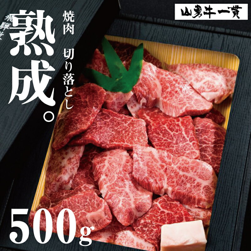 熟成飛騨牛 山勇牛 焼肉 切り落とし 500g 御中元 お中元 早割 送料無料 早割り 熟成肉 切落し 食べ比べ バーベキュー A4/A5 訳あり 和牛 雌牛 牛肉 冷蔵 ギフト お誕生日 還暦 贈答用 ブランド牛 山勇畜産 肉ギフト 父の日 熨斗 御祝い 御礼 稀少部位[R]