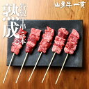 熟成飛騨牛 山勇牛 BBQ 特製牛串 5本 A4/A5 和牛 メス牛 雌牛 牛肉 冷凍 熟成肉 熨斗対応 父の日ギフト お誕生日 還暦 贈答用 ブランド牛 山勇畜産 肉ギフト 熨斗 外のし 稀少部位 お年賀 [R]