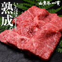 飛騨牛 熟成飛騨牛 山勇牛 いちぼステーキ用 120g×2 A4/A5 飛騨牛 いちぼ イチボ 赤身 ステーキ 和牛 メス牛 雌牛 牛肉 冷蔵 熟成肉 熨斗対応 父の日ギフト お誕生日 還暦 贈答用 ブランド牛 山勇畜産 肉ギフト 熨斗 外のし 稀少部位 [R]