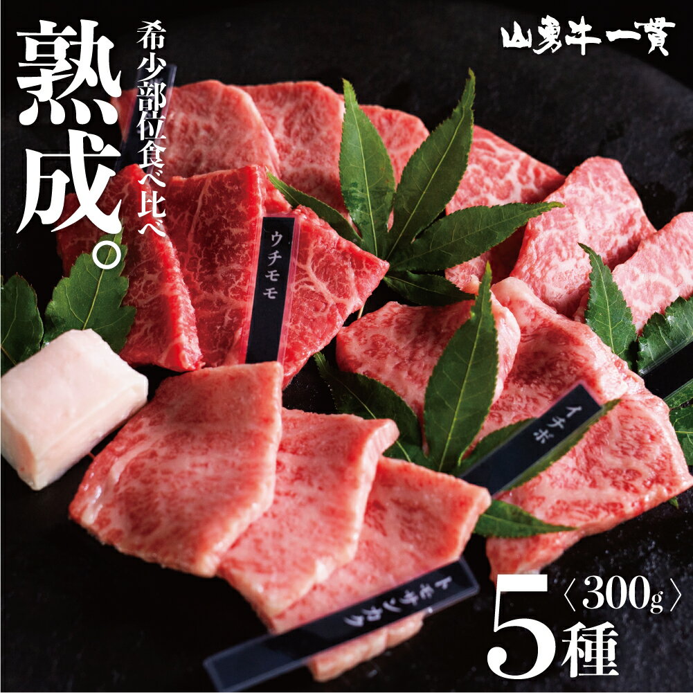 熟成飛騨牛 山勇牛 おまかせ5種盛り合わせ 焼肉セット 300g 飛騨牛 2人用 2人前 稀少部位入り 食べ比べ 赤身 霜降り 焼肉 バーベキュー 和牛 牛肉 冷蔵 熟成肉 ギフト お誕生日 還暦 贈答用 ブランド牛 肉ギフト 熨斗 希少部位 お肉 お中元 御中元 [R]