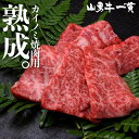 飛騨牛 熟成飛騨牛 山勇牛 カイノミ焼肉用 300g カイノミ バラ肉 稀少部位 赤身 焼肉 バーベキュー A4/A5 飛騨牛 和牛 メス牛 雌牛 牛肉 冷蔵 熟成肉 熨斗対応 父の日ギフト お誕生日 還暦 贈答用 ブランド牛 山勇畜産 肉ギフト 熨斗 外のし 稀少部位 [R]