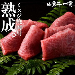 熟成飛騨牛 山勇牛 ミスジ焼肉用 300g ミスジ 稀少部位 焼肉 バーベキュー A4/A5 飛騨牛 和牛 メス牛 雌牛 牛肉 冷蔵 熟成肉 熨斗対応 父の日ギフト お誕生日 還暦 贈答用 ブランド牛 山勇畜産 肉ギフト 熨斗 外のし 稀少部位 [R]