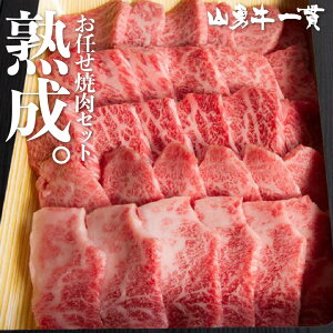 【1,000円OFFクーポン対象商品】熟成飛騨牛 山勇牛 上カルビ肉1種＋リブロースの焼肉セット 500g 上カルビ リブロース 食べ比べ バーベキュー A4/A5 飛騨牛 和牛 雌牛 牛肉 冷蔵 熟成肉 お中元 ギフト お誕生日 還暦 贈答用 ブランド牛 山勇畜産 肉ギフト 希少部位 [R]