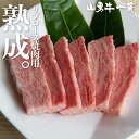 熟成飛騨牛 山勇牛リブロース焼肉用 300g 焼肉 リブロース ロース A4/A5 飛騨牛 バーベキュー 和牛 メス牛 雌牛 牛肉 冷蔵 熟成肉 送料無料 ギフト お誕生日 還暦 贈答用 ブランド牛 山勇畜産 肉ギフト 熨斗 外のし 稀少部位 お中元 御中元 [R]