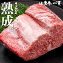 熟成飛騨牛 山勇牛 リブ芯ロースブロック 1kg リブ芯 リブロース ブロック肉 A4/A5 飛騨牛 和牛 メス牛 雌牛 牛肉 冷蔵 熟成肉 熨斗 外のし お誕生日 還暦 贈答用 ブランド牛 山勇畜産 肉ギフト 稀少部位 お中元 御中元 [R]