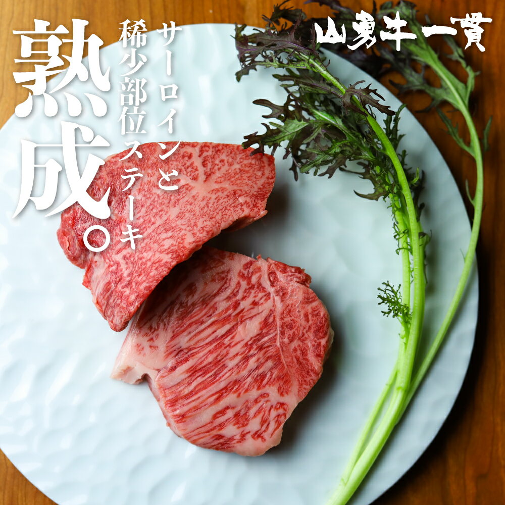 肉・セット 熟成飛騨牛 ステーキ 2種 山勇牛 サーロイン＆稀少部位 150g×2 飛騨牛 食べ比べ セット 御祝い お歳暮 御歳暮 御礼 A4/A5 和牛 雌牛 牛肉 冷蔵 熟成肉 熨斗対応 ギフト お誕生日 還暦 贈答用 ブランド牛 山勇畜産 肉ギフト 希少部位 帰省手土産[R]