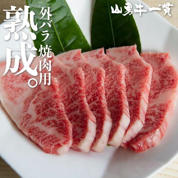 熟成飛騨牛 山勇牛 外バラ焼肉用 カルビ肉 500g 外バラ 焼肉 A4/A5 飛騨牛 バーベキュー 和牛 メス牛 雌牛 牛肉 冷蔵 熟成肉 お歳暮 冬ギフト お誕生日 還暦 贈答用 ブランド牛 山勇畜産 肉ギフト 希少部位 [R]