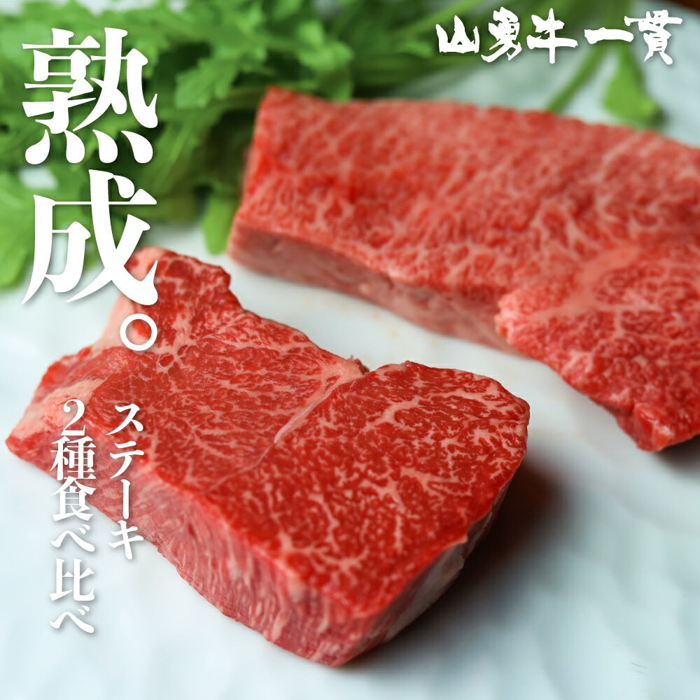 飛騨牛 熟成飛騨牛 山勇牛 稀少部位ステーキ 2種食べ比べ セット 100g×2 A4/A5 飛騨牛 和牛 メス牛 雌牛 牛肉 冷蔵 熟成肉 熨斗対応 ギフト お誕生日 還暦 贈答用 ブランド牛 山勇畜産 肉ギフト 熨斗 外のし 希少部位 [R]