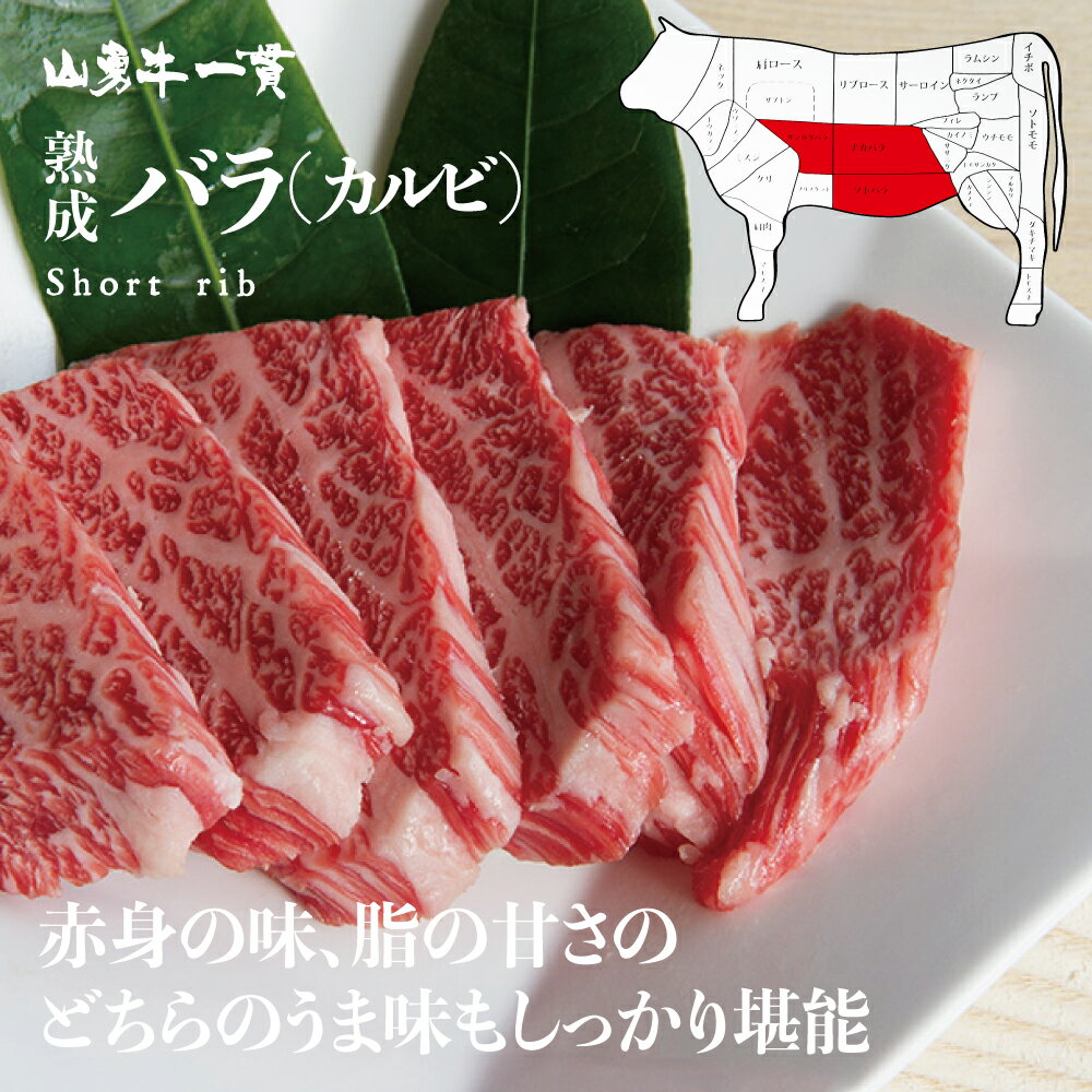 熟成飛騨牛 山勇牛 外バラ焼肉用 カルビ肉 500g 外バラ 焼肉 A4/A5 飛騨牛 バーベキュー 和牛 メス牛 雌牛 牛肉 冷蔵 熟成肉 お歳暮 冬ギフト お誕生日 還暦 贈答用 ブランド牛 山勇畜産 肉ギフト 希少部位 [R]