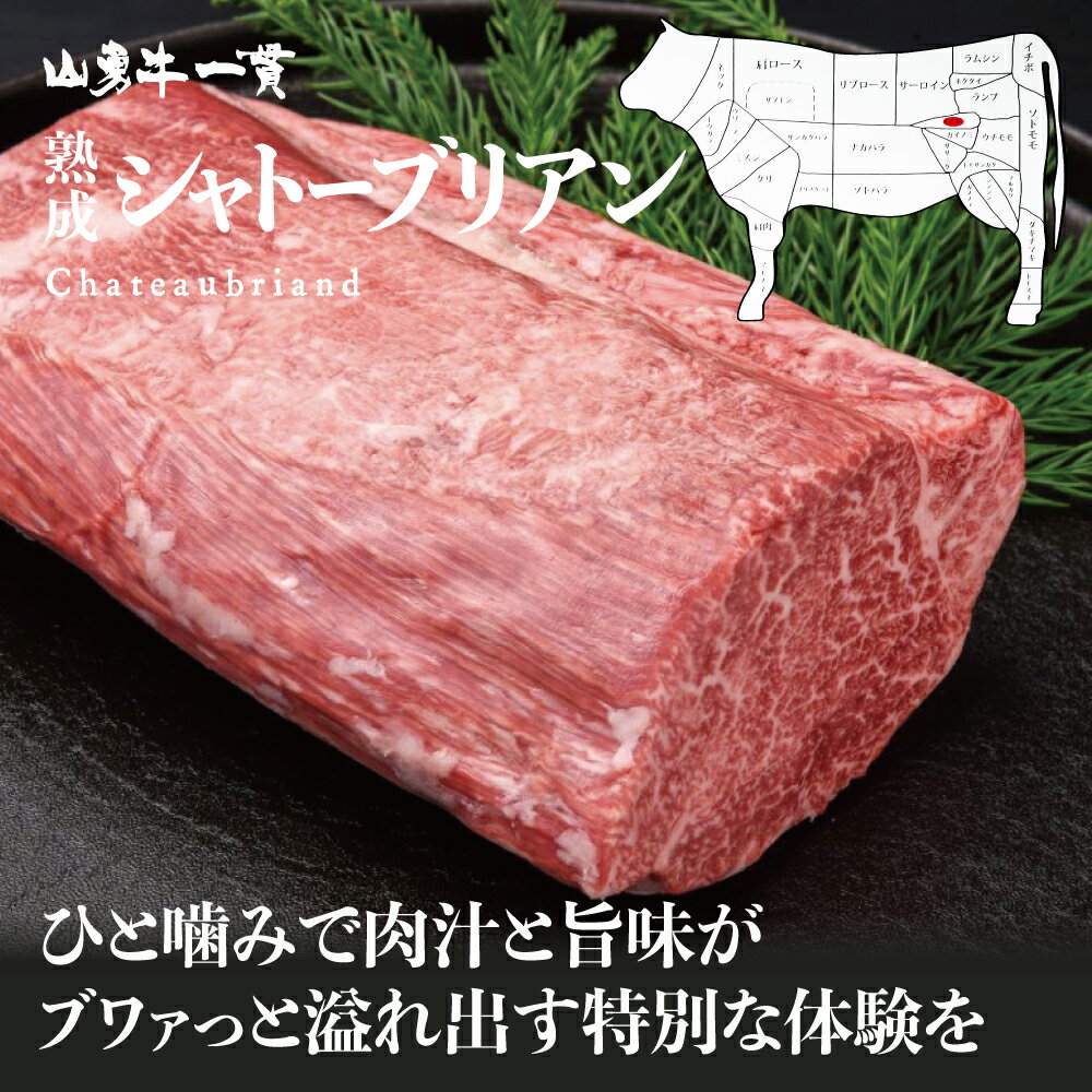 【真空冷凍発送】熟成飛騨牛 山勇牛 シャトーブリアンステーキ用 150g×3 フィレ ヒレ 稀少部位 A4/A5 飛騨牛 和牛 メス牛 雌牛 牛肉 冷蔵 熟成肉 熨斗対応 父の日ギフト お誕生日 還暦 贈答用 ブランド牛 山勇畜産 肉ギフト 熨斗 外のし 稀少部位 [R]