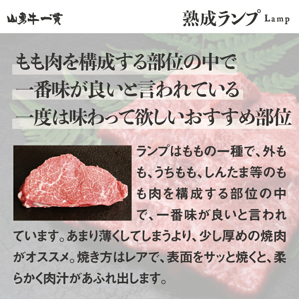 父の日 お中元 ギフト に 熟成飛騨牛 山勇牛 ランプブロック用 500g ランプ ブロック肉 A5 飛騨牛 和牛 メス牛 お誕生日 稀少部位 大注目 雌牛 牛肉 熟成肉 山勇畜産 熨斗 ブランド牛 贈答用 R 冷蔵 還暦 肉ギフト 外のし