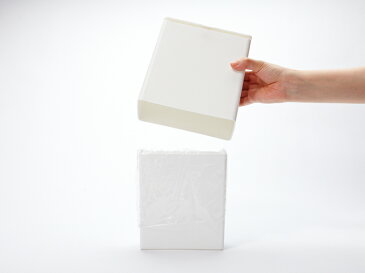 イデアコ【 TUBELOR mini flap(チューブラー ミニフラップ) 】 ideacoスタイリッシュ ゴミ袋が見えないごみ箱 ミニサイズ コンパクト ホワイト ブラック グレー ゴミ箱 ごみ箱 くずかご ダストボックス おしゃれ 雑貨 洗面所 トイレ サニタリー 角型 いたずら 防止