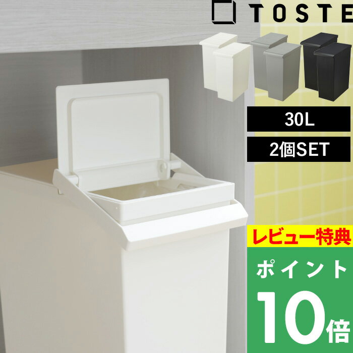 【着後レビューで選べる特典】TOSTE「トステ レバーオープン 30L 2個セット」 セット SET ゴミ箱 ごみ箱 ごみ 30リットル ふた付き 蓋付き 蓋つき フラップ プッシュオープン 分別 ゴミ袋 袋止め キッチン カウンター デスク下 棚下 収納 カウンター おしゃれ リス RISU