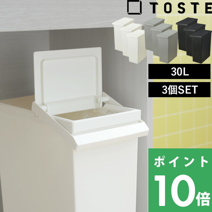 【着後レビューで選べる特典】TOSTE「トステ レバーオープン 30L 3個セット」 セット SET ゴミ箱 ごみ箱 ごみ 30リットル ふた付き 蓋付き 蓋つき フラップ プッシュオープン 分別 ゴミ袋 袋止め キッチン カウンター デスク下 棚下 収納 カウンター おしゃれ リス RISU