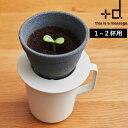 特典付き! +d 【 キノメ 】 h concept コーヒー 珈琲 ドリッパー フィルター コーヒーフィルター セラミック 磁器 ペーパーレス 1〜2人用 コ...