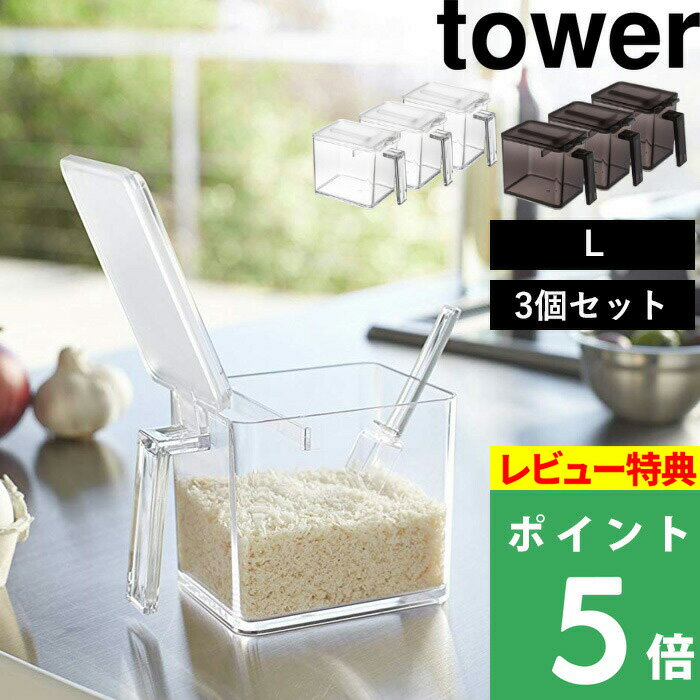 特典付き！ 【 山崎実業 調味料スト