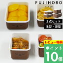 特典付き! 富士ホーロー 【 ボリスフェイスシリーズ 浅型・深型角容器 2点セット 】 保存容器 フードコンテナ コンテナ 冷蔵 オーブン 作り置き おかず ほ...