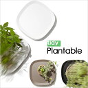 【着後レビューで今治タオル他】 tidy ティディ テラモト 「Plantable」＜ブラック ブラウン ホワイト＞ プランタブル キャスター付き 鉢台 台車 鉢皿 受け皿 受皿 トレイ トレー キャスター付き鉢皿 鉢植え台 観葉植物 鉢植え 植木鉢 プランター スタンド