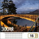タカショー MKイルミネーション 「ドレイプライト300」 300球 2m ≪白 電球色 青≫ LED 照明 電飾 防水 高品質 商業 公共 施設 イルミネーシ...
