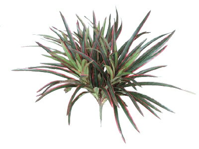 タカショー　下草「ヤブラン　レッド」W25cm＜人工植物＞