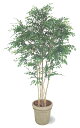 タカショー　グリーンデコ鉢付　観葉植物「トネリコ　5本立」1.8m