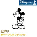 壁飾り ディズニーシリーズ 「ミッキーマウス・シングルタイプ（A）」 B523F1 装飾部材 外壁材 Mickey Mouse Disney ケイミュー／KMEW