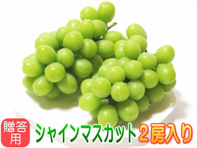 【温室栽培】【贈答用】シャインマスカット化粧箱2房入り　信州長野県産