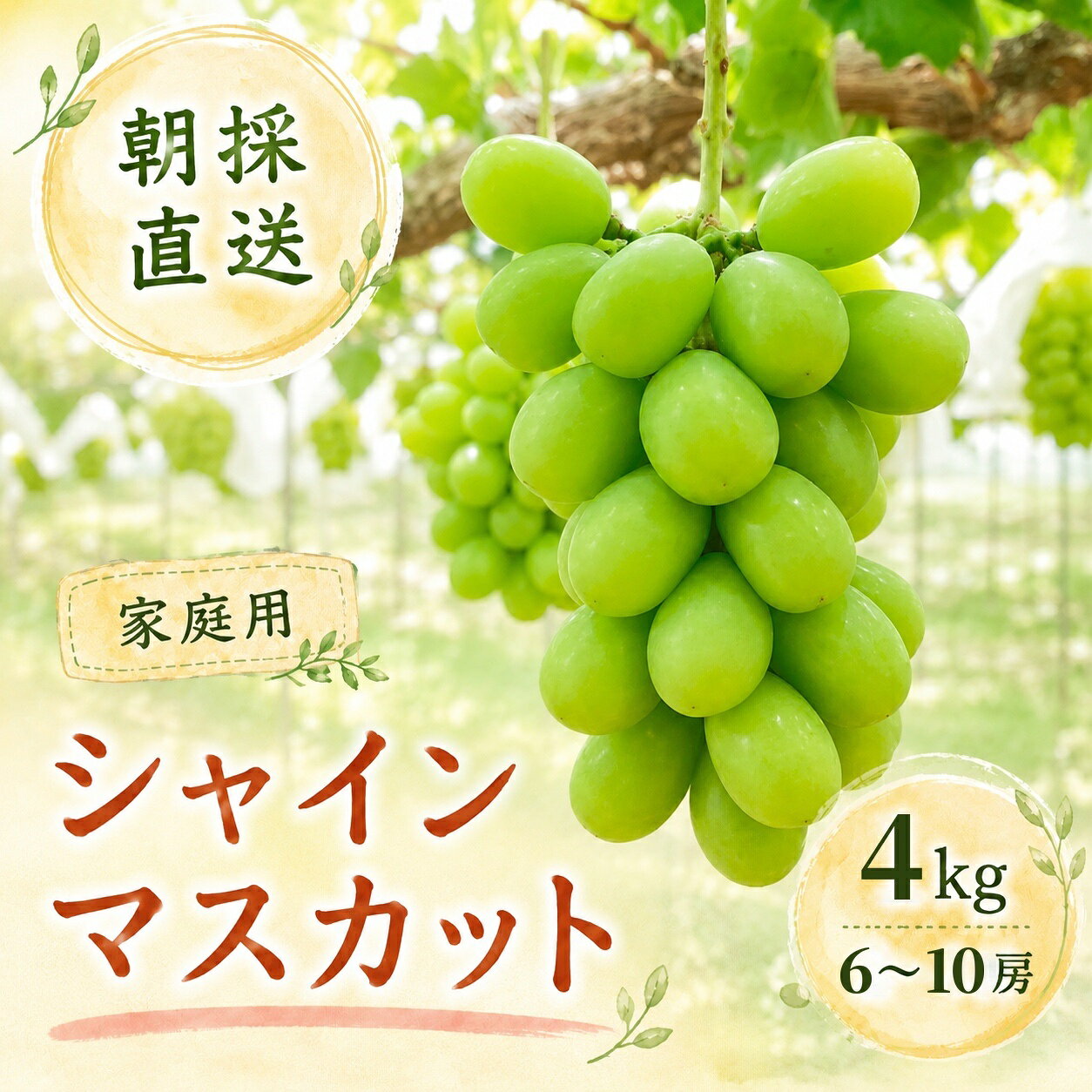 【さや꙳★*゜R@プロフ必読 】山梨県産シャインマスカット4kg 楽天市場】シャインマスカット 4kgの通販