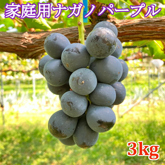 【ご家庭用】ナガノパープル3kg　長野県産