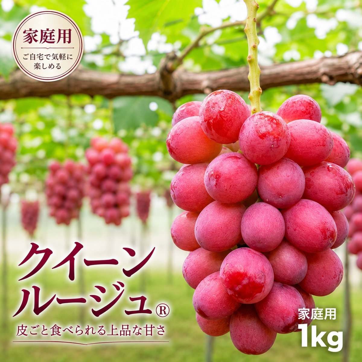 楽天市場】ピンク（ブドウ｜フルーツ・果物）：食品の通販