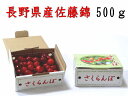 【贈答用】佐藤錦500g　L〜2Lサイズ信州長野県産さくらんぼ。 その1