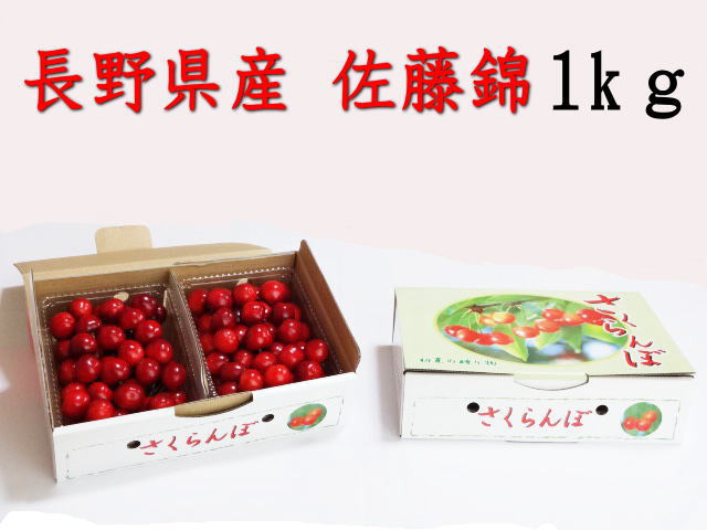 【贈答用】佐藤錦1kg L〜2L信州長野県産さくらんぼ