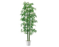 人工観葉植物、人工樹木「バンブー（竹）立ち木（H180cm）1台」