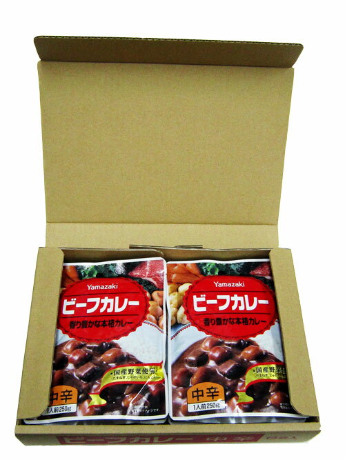 Yamazaki　ビーフカレー「中辛」250g×6袋セット 3