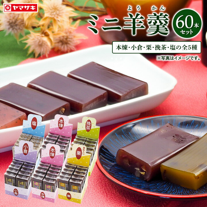 ＜本煉・小倉以外はメーカー終売の為、在庫限り。梅は終売＞ミニ羊かん60本【5種類セット】 個包装10本入×6箱 本煉×20本、他 各×10本ようかん 羊羹 一口 おやつ お菓子 まとめ買い お徳用 常温保存 備蓄 非常食 敬老 災害
