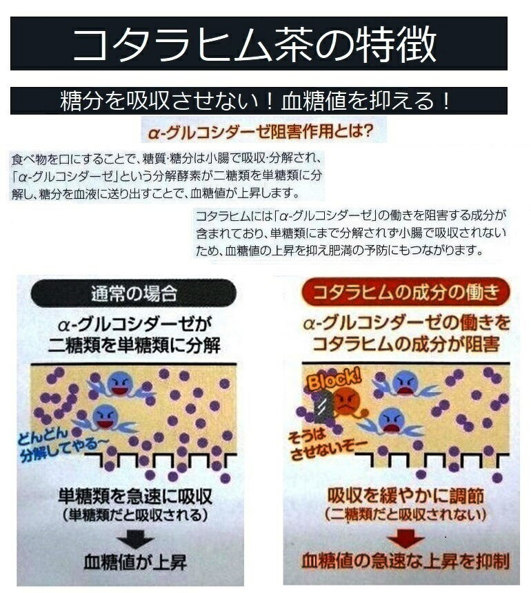 コタラヒム茶糖が気になる方へコタラヒム茶で身体の内側からも外側からも健康に!