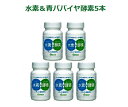 世界で初めて成功!水素&青パパイア酵素5本セット