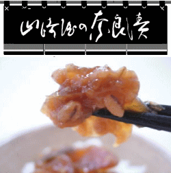 寧楽漬