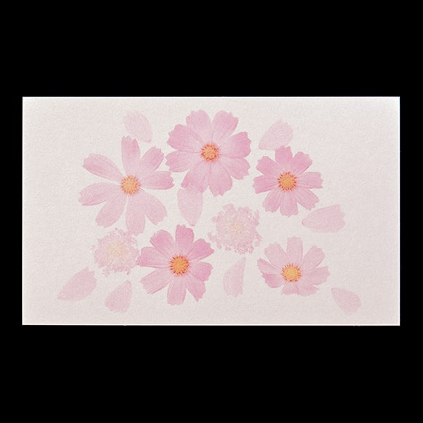 山櫻 名刺 4号 フォト名刺 FL-2 コスモス 0.216mm厚 PPケース 50枚入 1個 / 名刺用紙 名刺サイズ 絵柄入り 無地 印刷 印刷用紙 自作 手作り オリジナル 名刺作成 カード 紙 両面 メッセージ カード シンプル 無地 名刺サイズ 00153117-0001