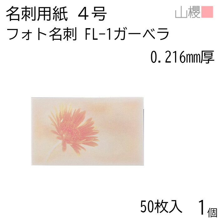 山櫻 名刺 4号 フォト名刺 FL-1 ガーベラ 0.216mm厚 PPケース 50枚入 1個 / 名刺用紙 名刺サイズ 絵柄入り 無地 印刷 印刷用紙 自作 手作り オリジナル 名刺作成 カード 紙 両面 メッセージ カード シンプル 無地 名刺サイズ 00153116-0001