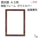 山櫻 額縁 A3 賞状額 樹脂フレーム(木目調) ガラスカバー 1枚 / 用紙サイズ436×306mm 表彰状 感謝状 証書 社内表彰 皆勤賞 認定証 大会 コンテスト コンクール イベント 00823010-0001