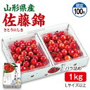 さくらんぼ 佐藤錦 バラ詰め1kg(500g×2パック) Lサイズ以上 山形県産 送料無料