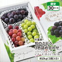 天童産 旬のぶどう3色詰め合わせ(シャインマスカット・ピオーネ・赤ぶどう各1房) 約2kg(3房入り)産地直送 送料無料